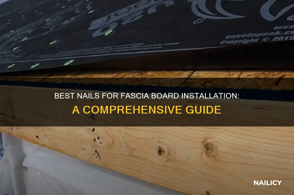 what kind of nails for fascia board