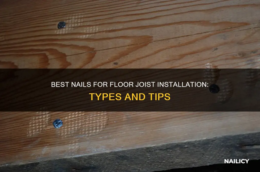 what kind of nails for floor joist