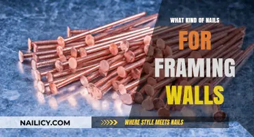 Best Nails for Framing Walls: Types, Sizes, and Expert Tips