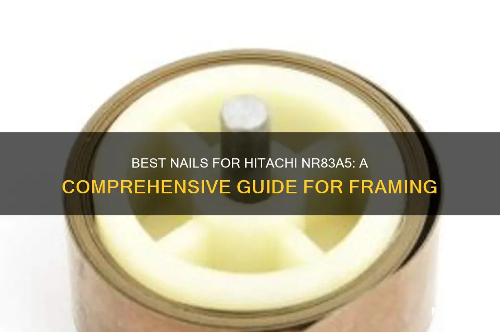 what kind of nails for hitachi nr83a5