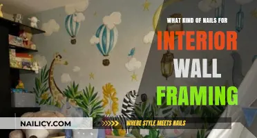 Best Nails for Interior Wall Framing: Types and Selection Guide