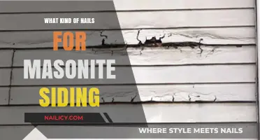 Best Nails for Masonite Siding: Types, Sizes, and Installation Tips