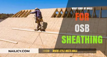 Best Nails for OSB Sheathing: Types, Sizes, and Installation Tips
