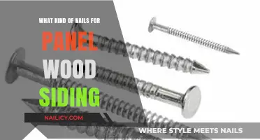 Best Nails for Panel Wood Siding: Types, Sizes, and Installation Tips