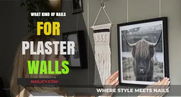 Choosing the Right Nails for Plaster Walls: A Comprehensive Guide