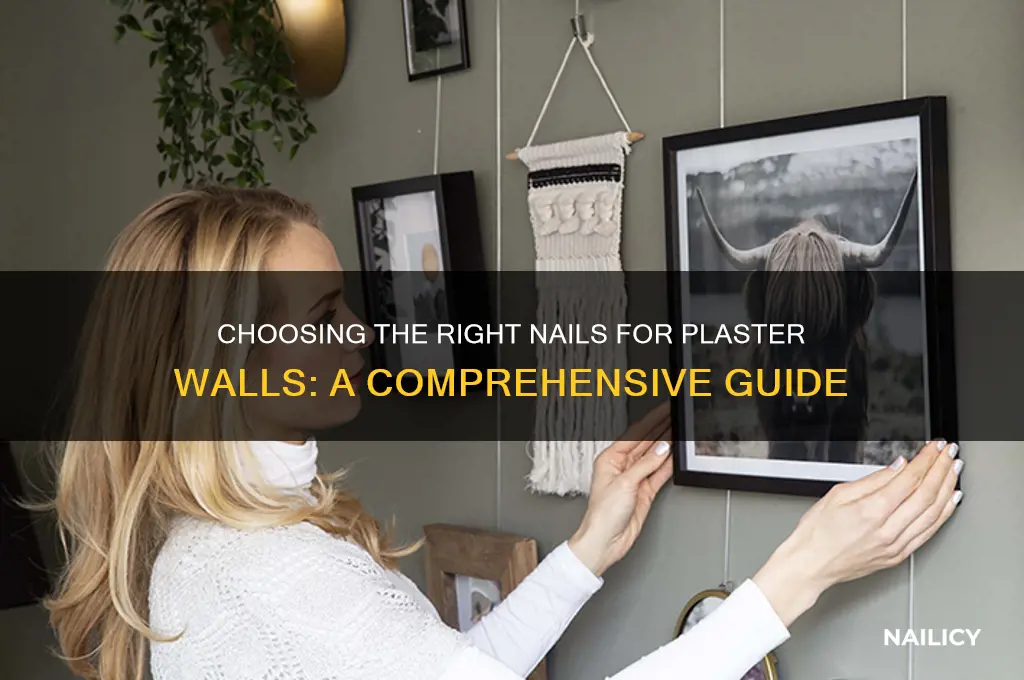 what kind of nails for plaster walls