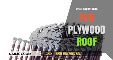 Best Nails for Plywood Roofs: Types, Sizes, and Installation Tips