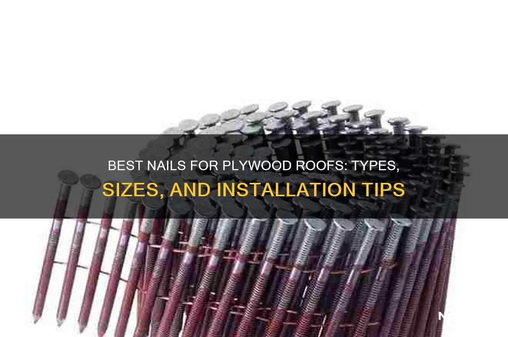 what kind of nails for plywood roof