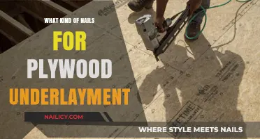 Best Nails for Plywood Underlayment: Types, Sizes, and Installation Tips