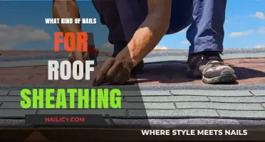 Best Nails for Roof Sheathing: Types, Sizes, and Installation Tips