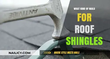Choosing the Right Nails for Roof Shingles: A Comprehensive Guide