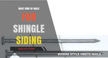 Best Nails for Shingle Siding: Types, Sizes, and Installation Tips