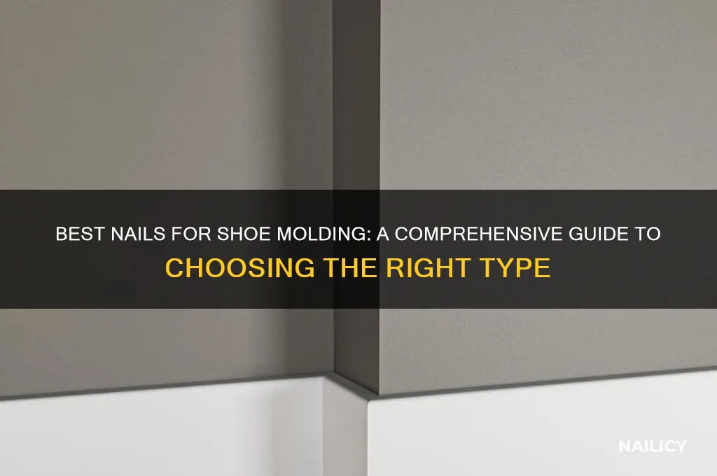 what kind of nails for shoe molding