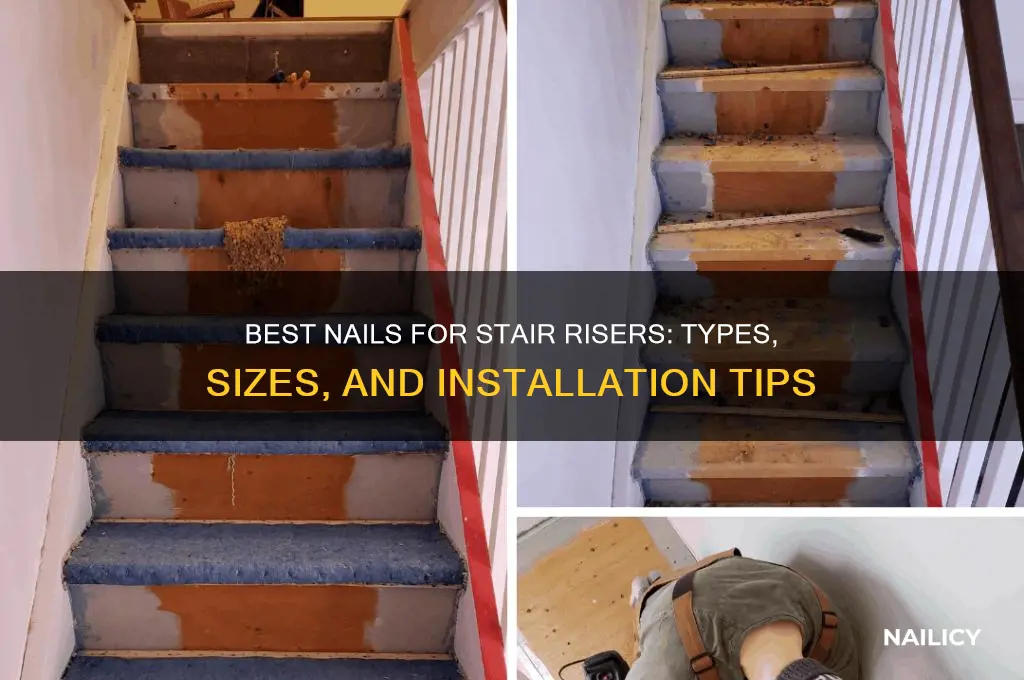 what kind of nails for stair risers