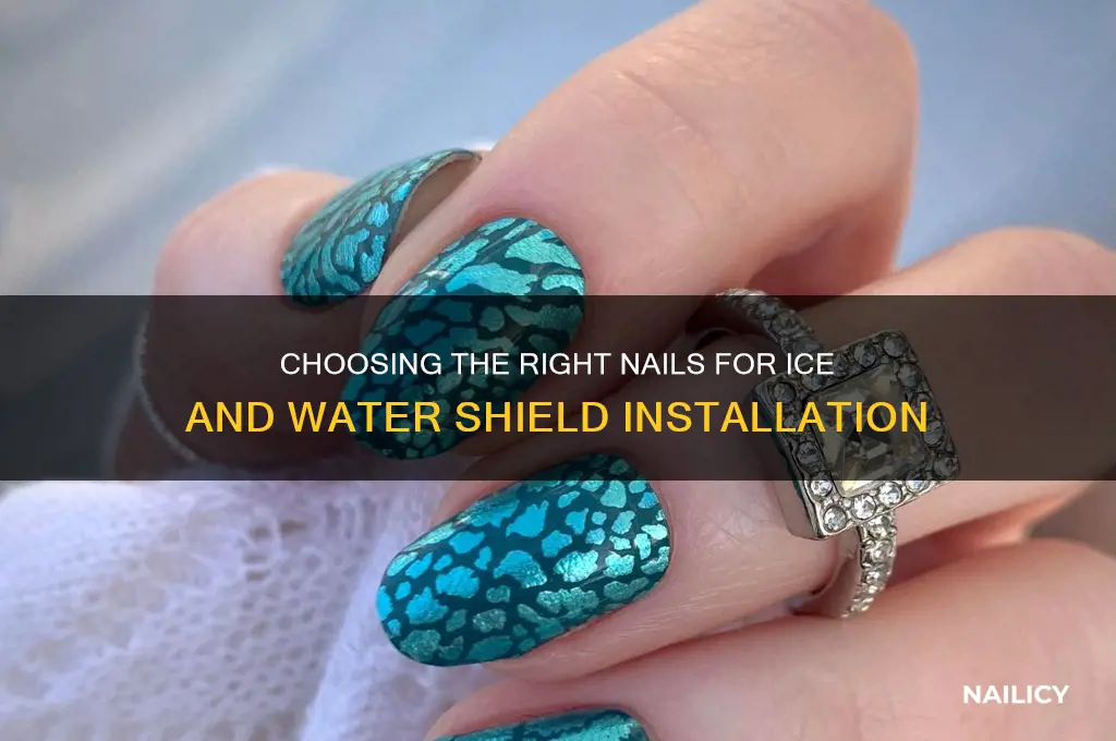 what kind of nails ice and water shield