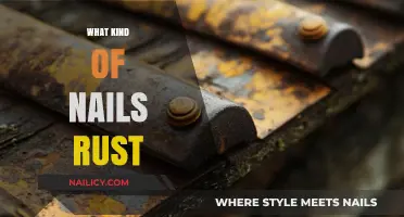 Understanding Rust: Which Nail Types Corrode and Why It Matters