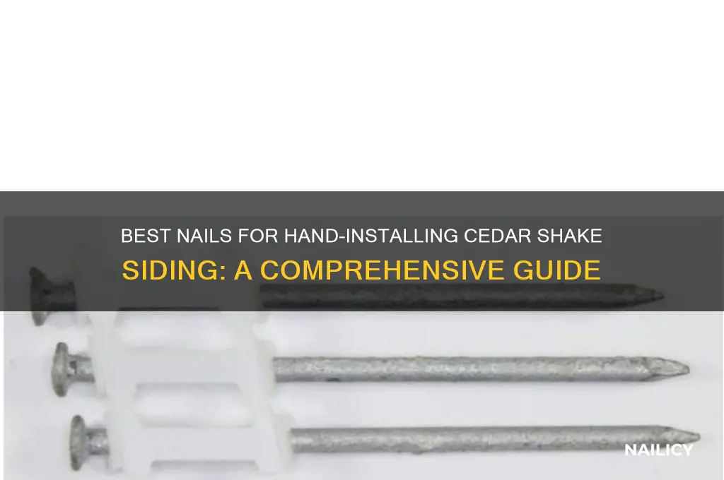 what kind of nails to hand cedar shake
