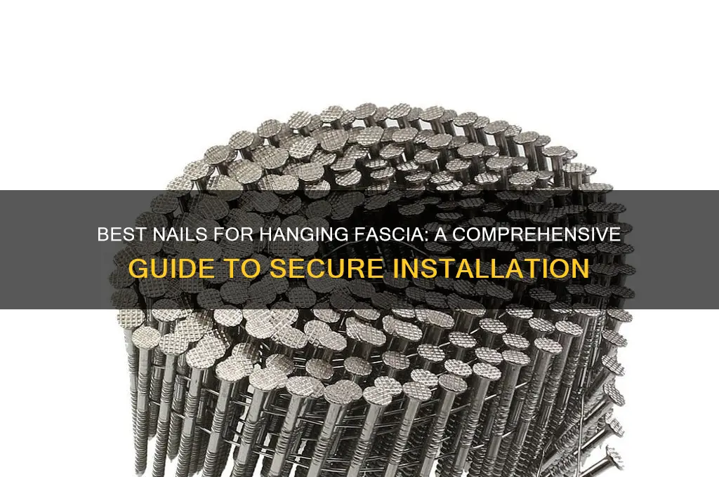 what kind of nails to hang fascia