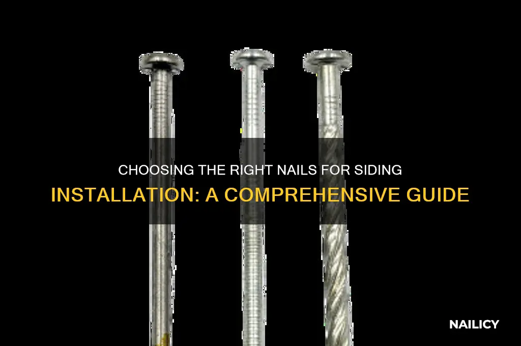 what kind of nails to nail siding