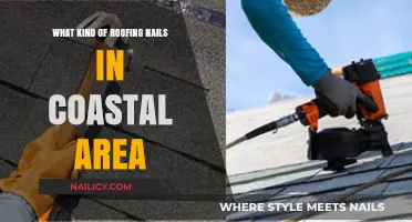 Best Roofing Nails for Coastal Areas: Corrosion-Resistant Options and Tips