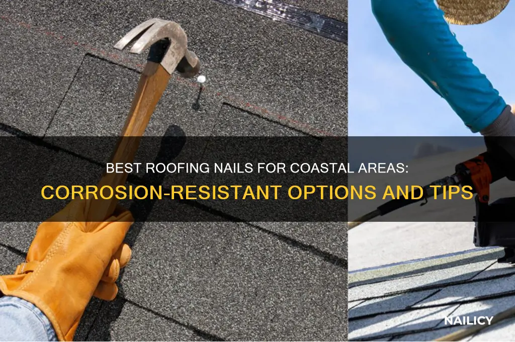 what kind of roofing nails in coastal area