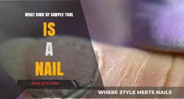 The Humble Nail: A Simple Yet Essential Everyday Tool Explained