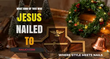 The Crucial Question: What Tree Held Jesus on the Cross?