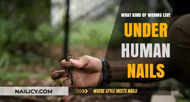 Unseen Nail Invaders: Exploring Worms Living Under Human Nails