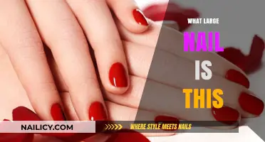 Identifying Large Nails: A Guide to Recognizing This Oversized Fastener