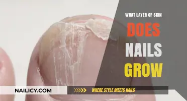 How Nails Grow: Understanding the Skin's Lower Layer