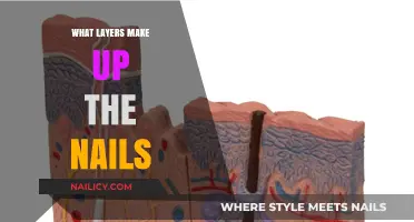 Understanding the Structure: Exploring the Layers That Make Up Nails
