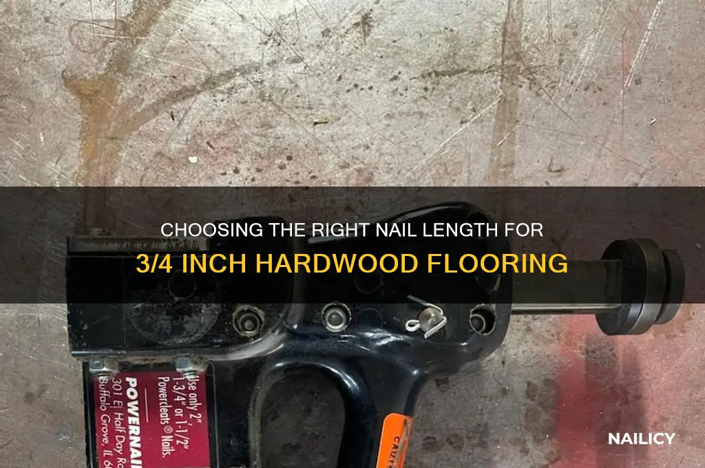 what lenght nail for 3 4 inch hardwood