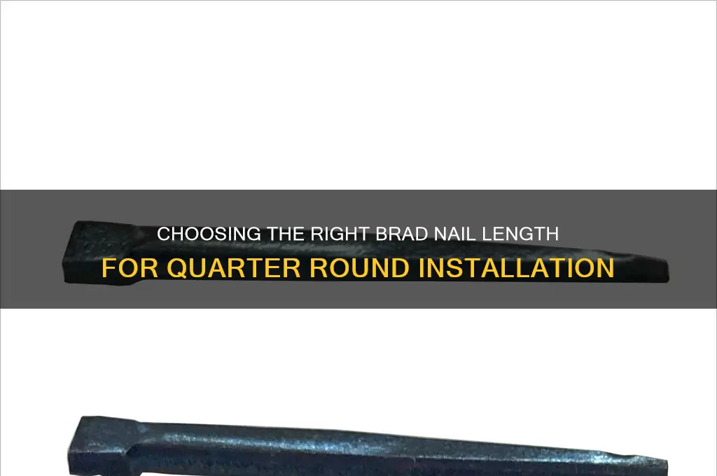 what length brad nail for quarter round