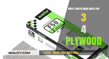 Choosing the Right Brad Nail Length for 3/4 Plywood Projects