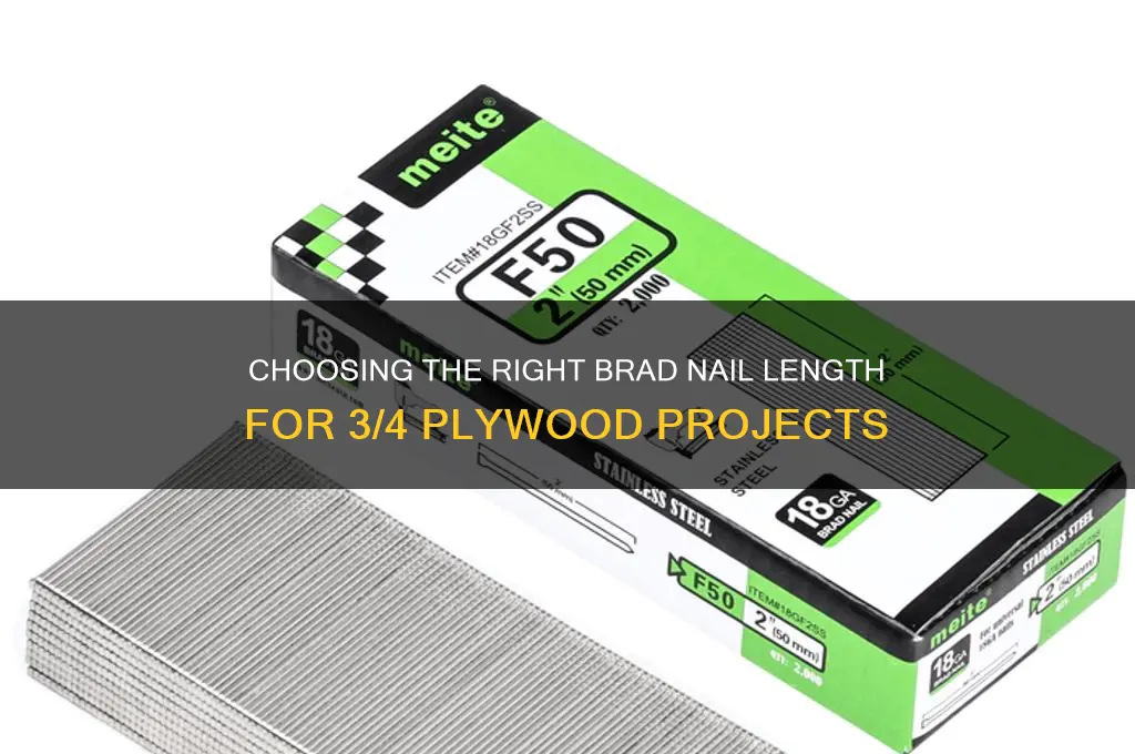 what length brad nails for 3 4 plywood
