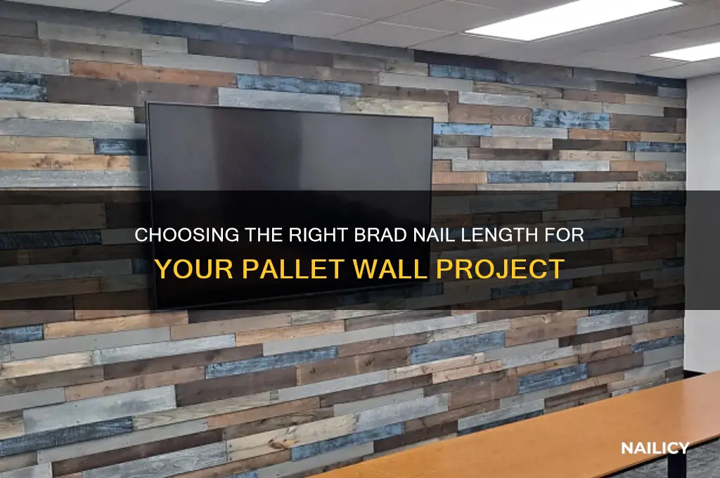 what length brad nails for pallet wall