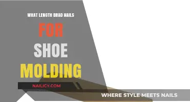 Choosing the Right Brad Nail Length for Shoe Molding Installation