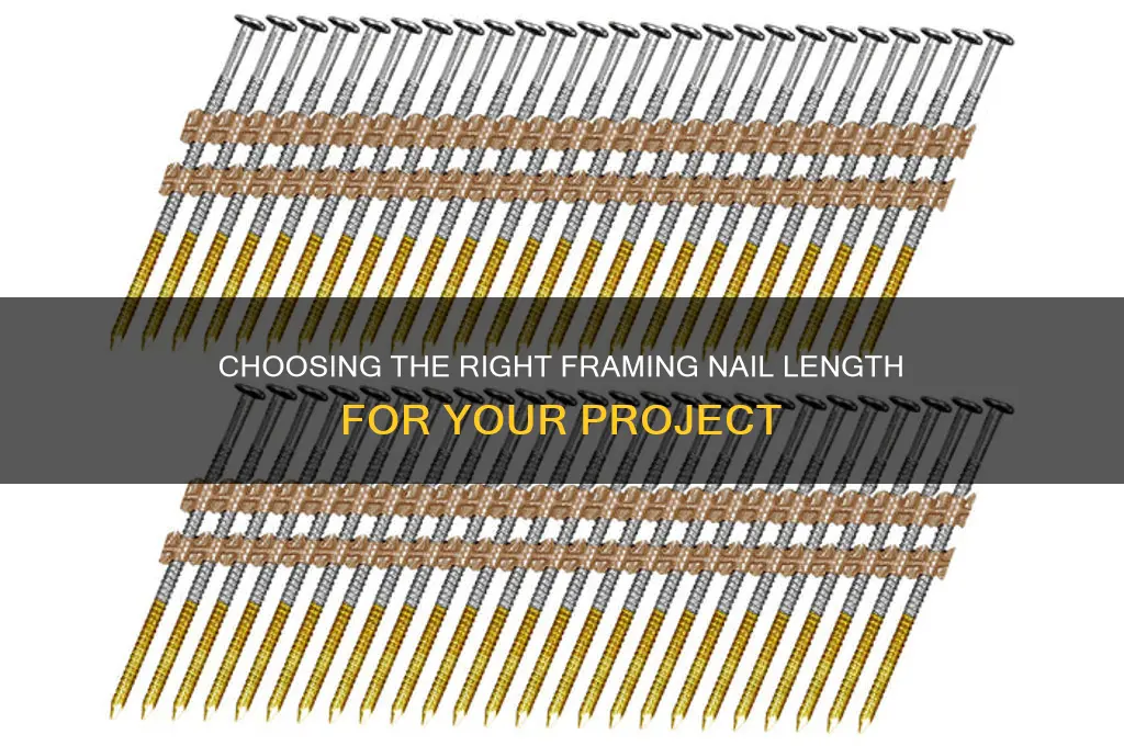 what length framing nail do i need