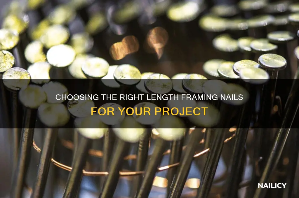 what length framing nails