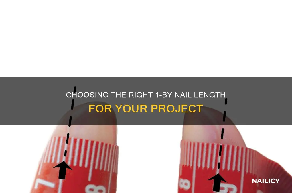 what length nail 1 by