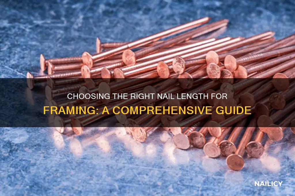what length nail for framing