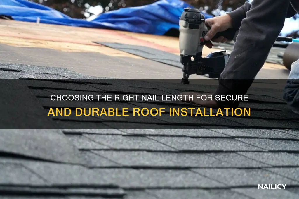 what length nail on roof