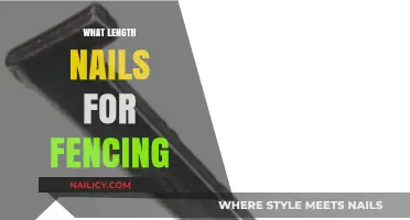 Choosing the Right Nail Length for Durable and Secure Fencing