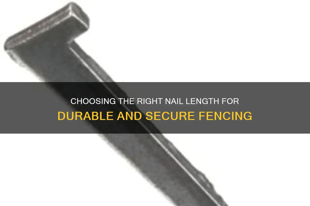 what length nails for fencing