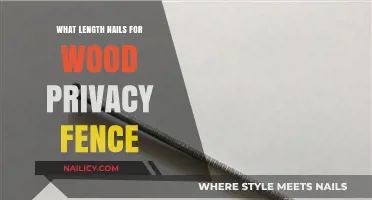 Choosing the Right Nail Length for Your Wood Privacy Fence