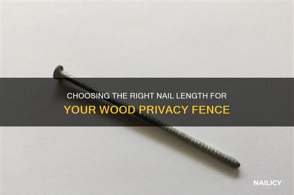 what length nails for wood privacy fence