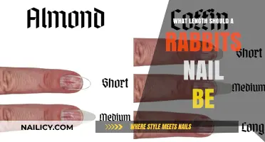 Ideal Rabbit Nail Length: Tips for Healthy and Happy Hopping