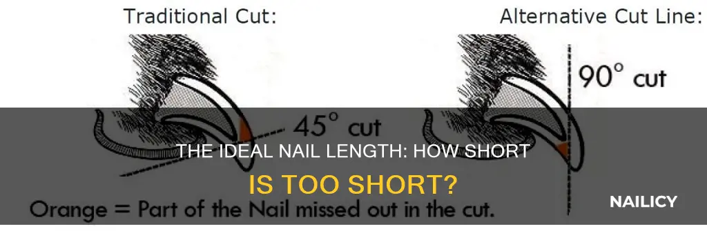 what length should you cut your nails