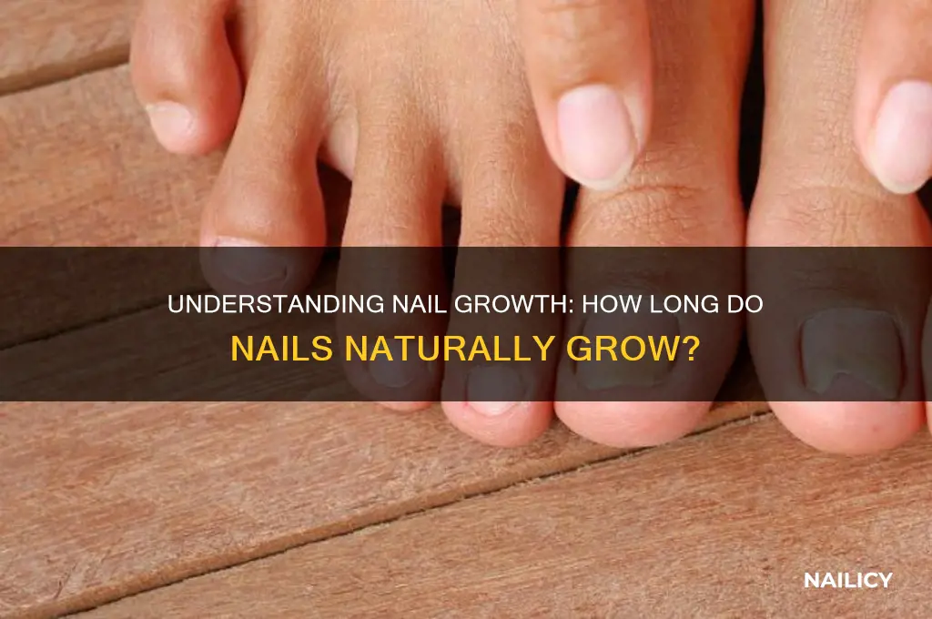 what length the nail growth