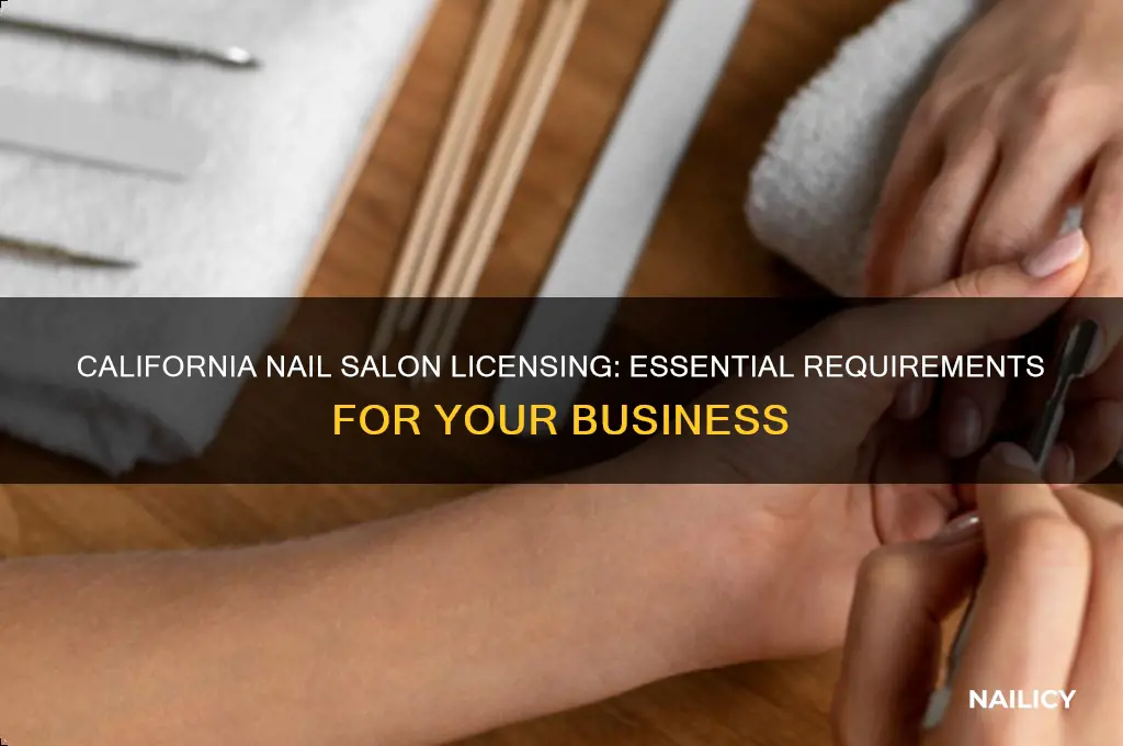 what license in california for nail salon